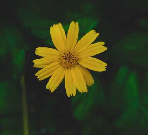 Profile-Photo